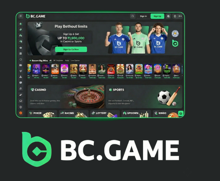 Explore the Thrills of the BC.Game Online Platform
